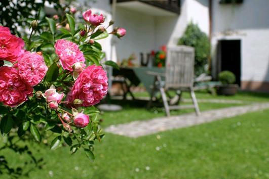 Landhotel Neugebauer Löllinggraben Exteriör bild